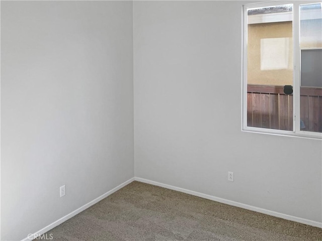 spare room with carpet