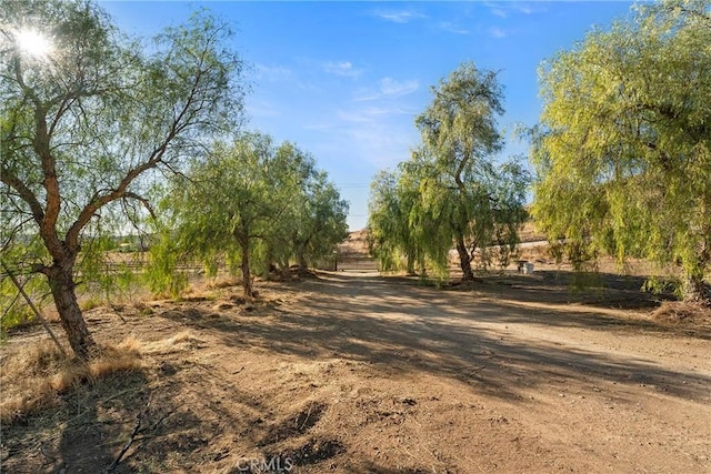 view of local wilderness with a rural view