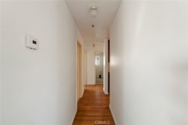 corridor featuring hardwood / wood-style floors