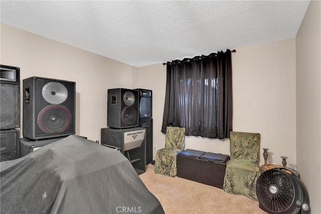 laundry area featuring carpet and a textured ceiling