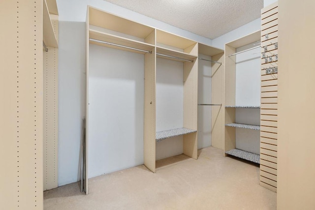 spacious closet with light carpet