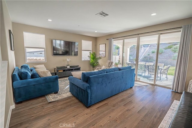 living room featuring hardwood / wood-style floors and a wealth of natural light