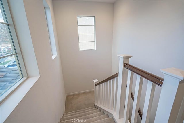 stairway featuring carpet flooring