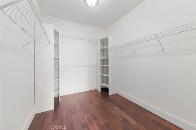 walk in closet featuring dark wood-type flooring