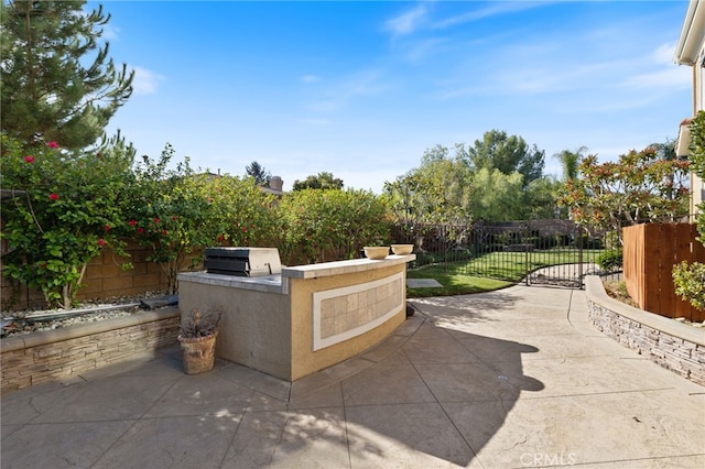 view of patio / terrace with a grill and area for grilling