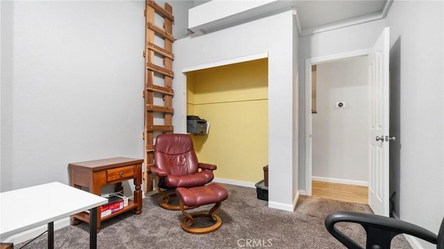 living area featuring light colored carpet