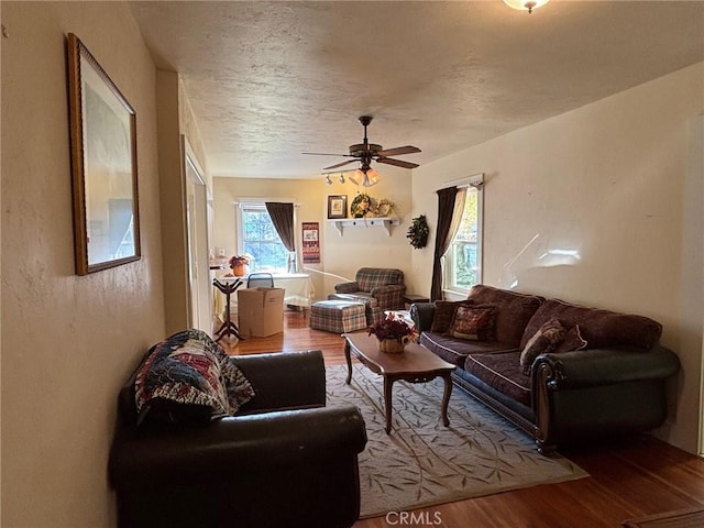 living room with hardwood / wood-style flooring and ceiling fan