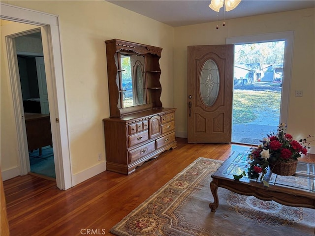 foyer entrance featuring hardwood / wood-style floors, ceiling fan, and a wealth of natural light