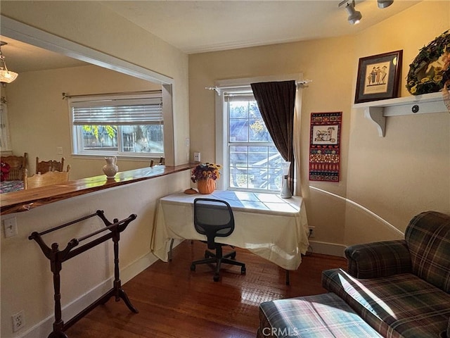 office featuring dark hardwood / wood-style flooring