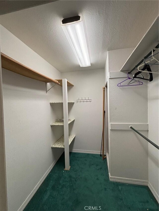 walk in closet featuring dark colored carpet