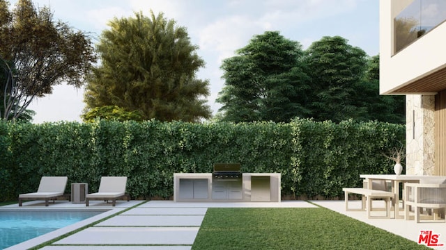 view of yard featuring exterior kitchen and a patio