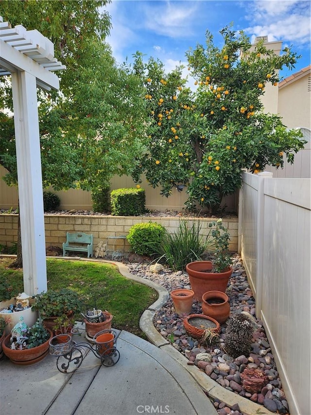 view of yard with a patio area