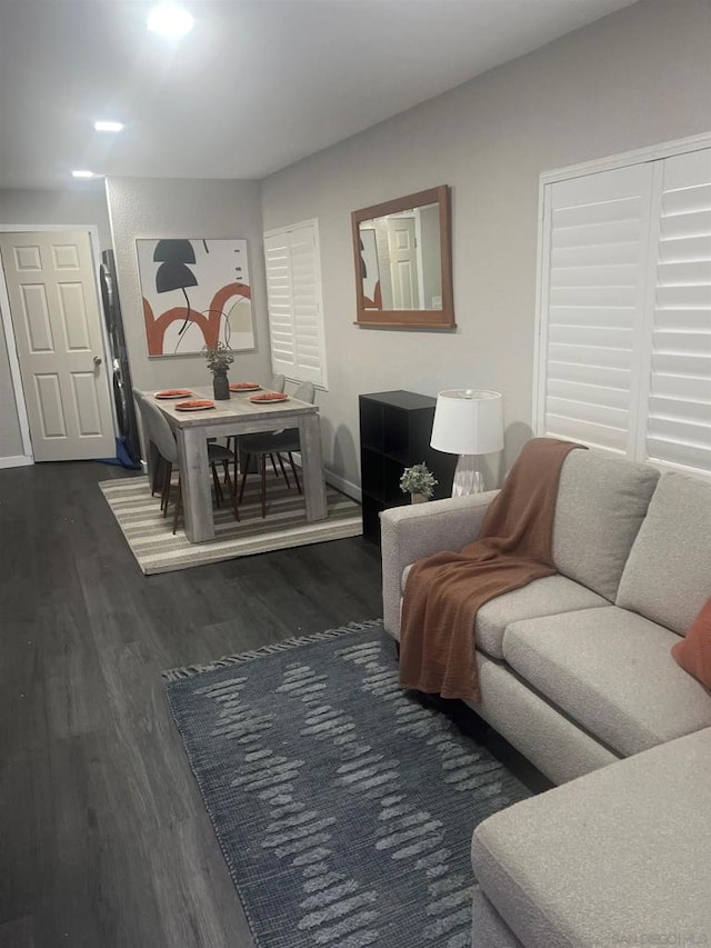 living room featuring dark wood-type flooring