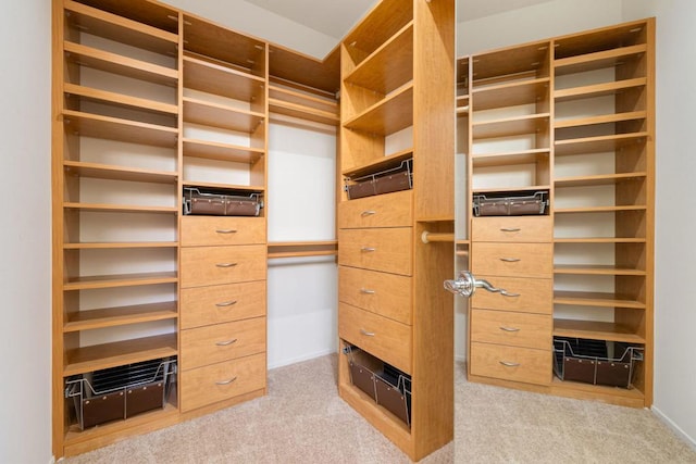 spacious closet with light carpet