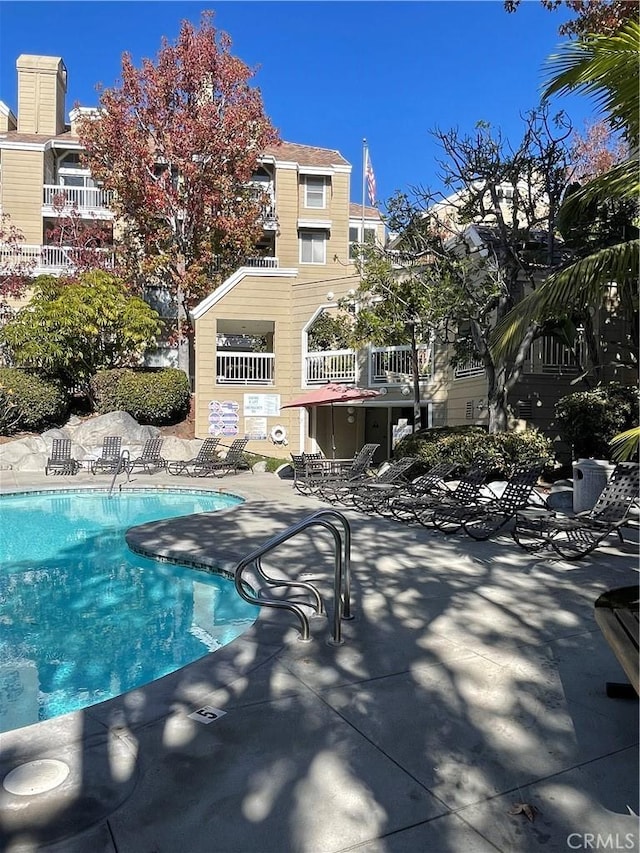 view of swimming pool featuring a patio