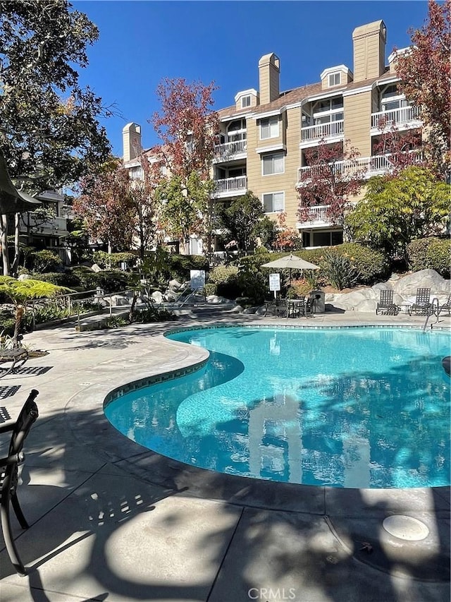 view of swimming pool