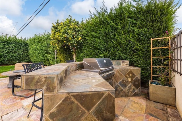 view of patio featuring grilling area and area for grilling