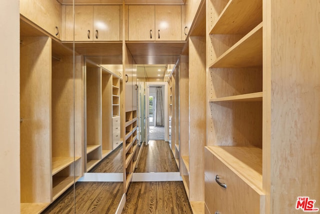 spacious closet with dark hardwood / wood-style flooring