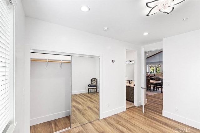 interior space featuring wood-type flooring and a closet