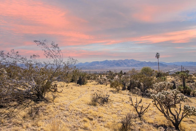 5610 Yucca Mesa Rd, Yucca Valley CA, 92284 land for sale