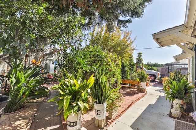 view of yard featuring a patio