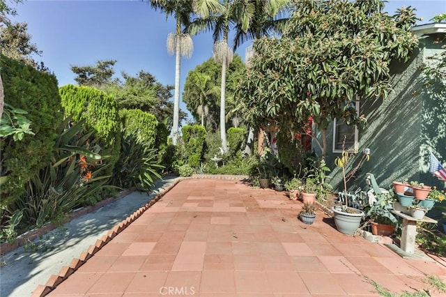 view of community with a patio area