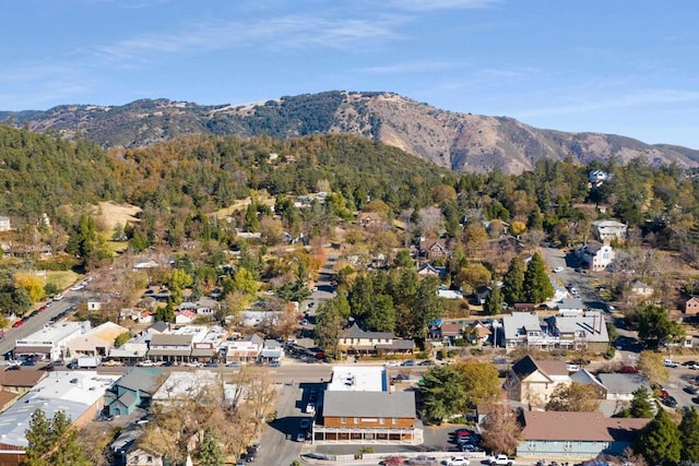 aerial view with a mountain view