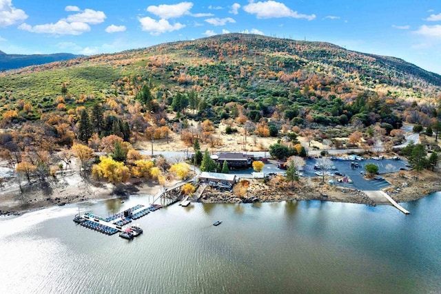 birds eye view of property featuring a water and mountain view