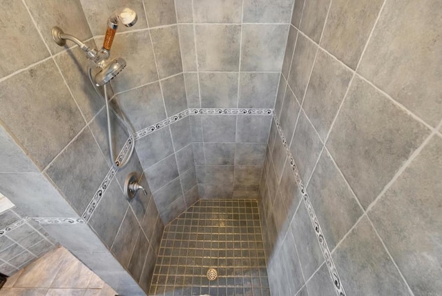 34667 Navajo Rd, Julian, CA 92036 - bathroom with tiled shower