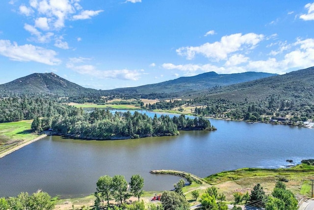 34667 Navajo Rd, Julian, CA 92036 - water view with mountains