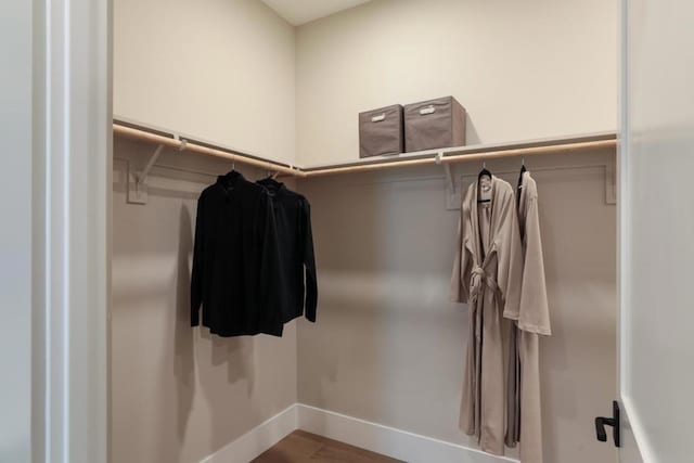 spacious closet with hardwood / wood-style flooring