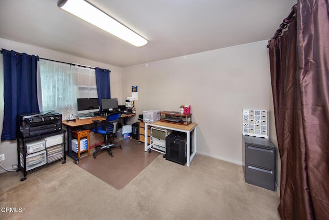 office featuring light colored carpet