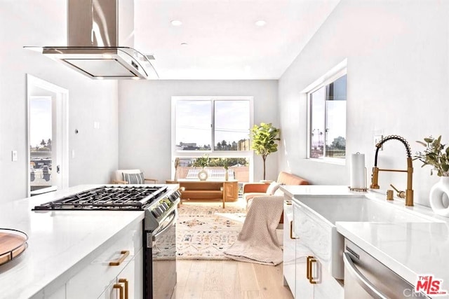 kitchen with sink, light hardwood / wood-style flooring, appliances with stainless steel finishes, island range hood, and white cabinetry