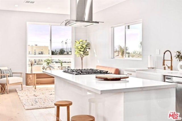 kitchen with island exhaust hood, light hardwood / wood-style floors, a wealth of natural light, and sink