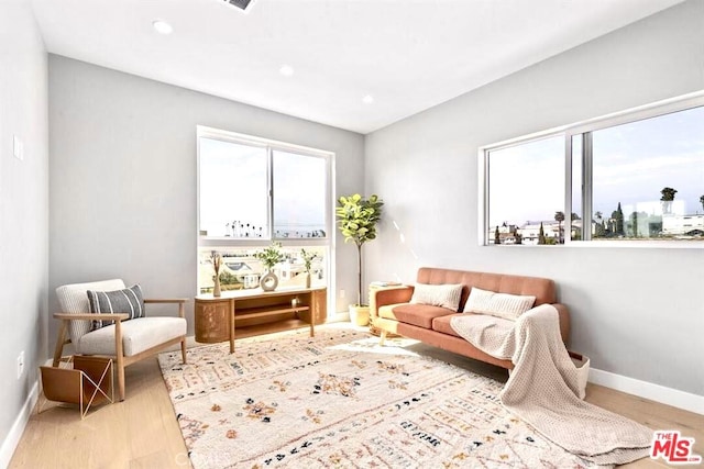 sitting room with light hardwood / wood-style floors