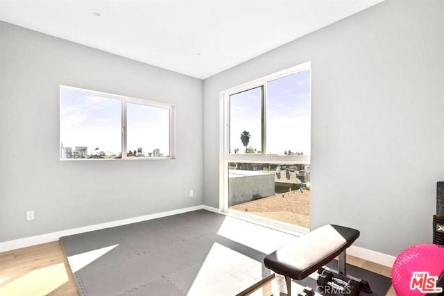 exercise area with hardwood / wood-style floors