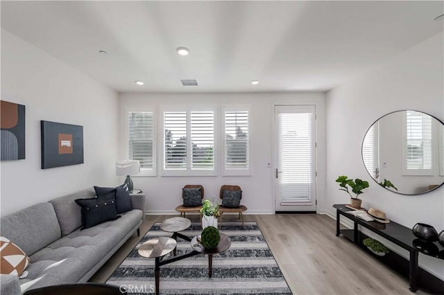 living room with light wood-type flooring and a healthy amount of sunlight