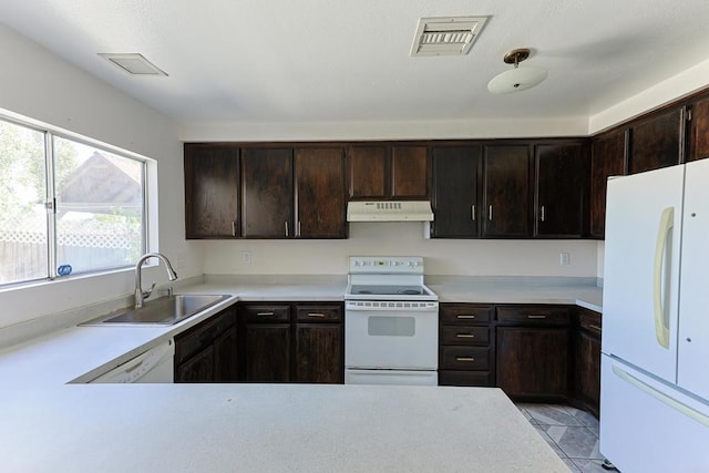 kitchen featuring dark brown cabinets, sink, light tile patterned floors, and white appliances