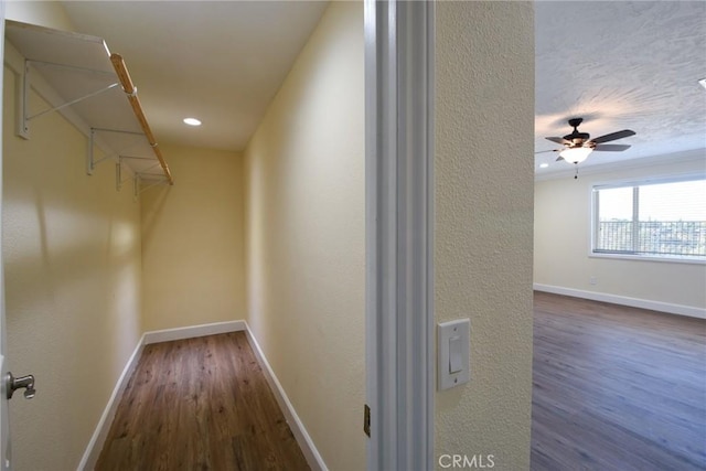 walk in closet with ceiling fan and dark hardwood / wood-style flooring