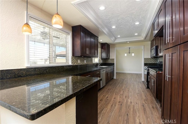 kitchen with a raised ceiling, sink, wood-type flooring, and appliances with stainless steel finishes