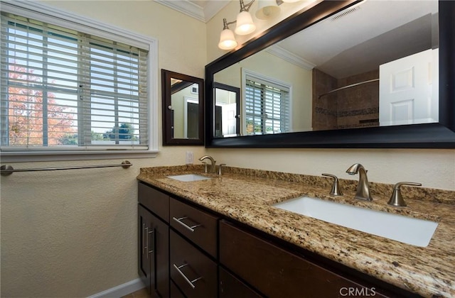 bathroom with vanity, plenty of natural light, and ornamental molding