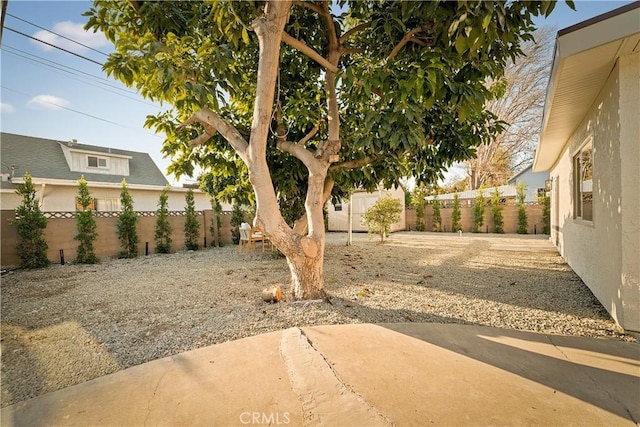 view of yard featuring a patio area