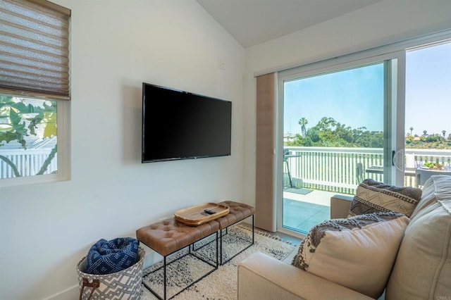 living room with vaulted ceiling