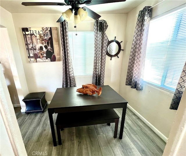 dining area with hardwood / wood-style flooring and a wealth of natural light