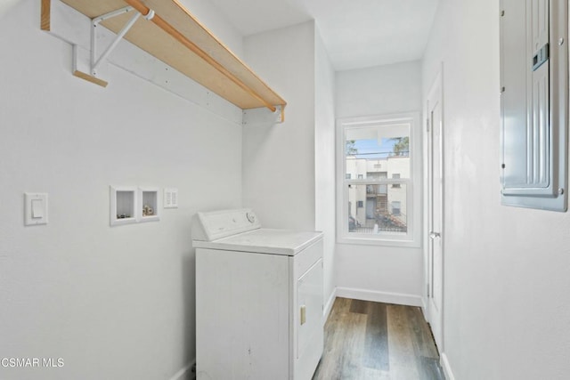 washroom with washer / clothes dryer, electric panel, and dark wood-type flooring