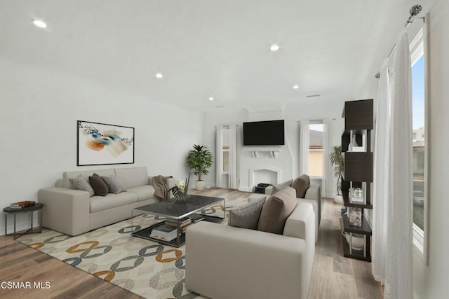 living room featuring light hardwood / wood-style flooring