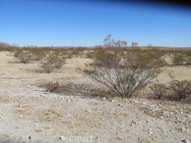 1001 Neuralia Blvd, California City, CA 93505 - photo 2