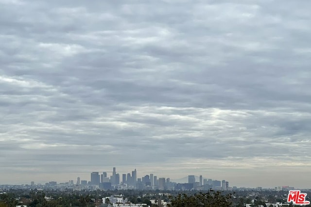 property's view of city