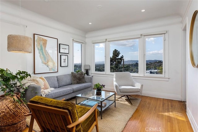 living room featuring a mountain view, ornamental molding, a healthy amount of sunlight, and light hardwood / wood-style floors