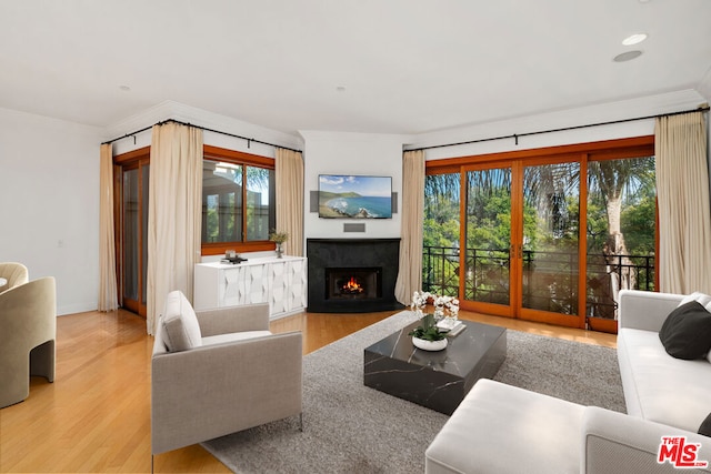 living room with light hardwood / wood-style floors